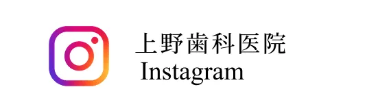インスタグラム